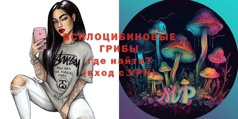 Галлюциногенные грибы Psilocybe  Верхоянск 